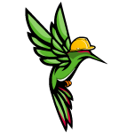 Colibri casque chantier